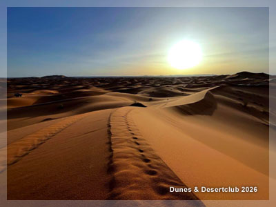 Dunes & Desertclub by Black Forest