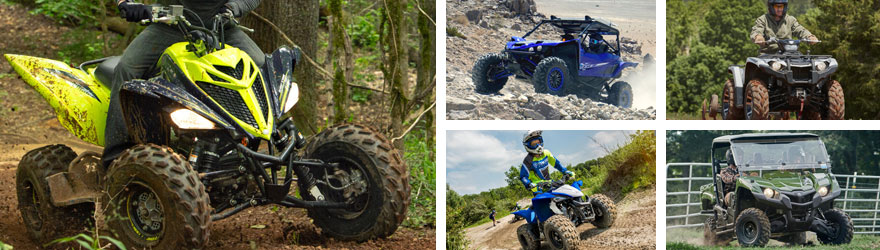 Quad / Side by Side von Yamaha ATV