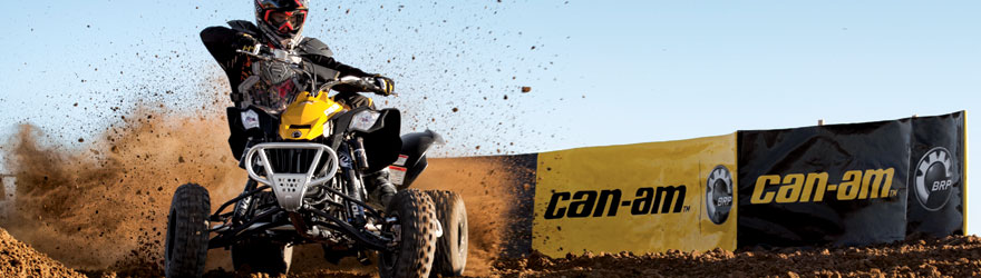 Can-Am DS 450 X
