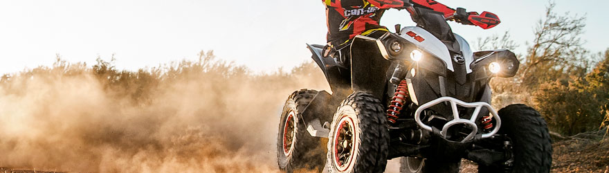 Can-Am Renegade 570 EFI