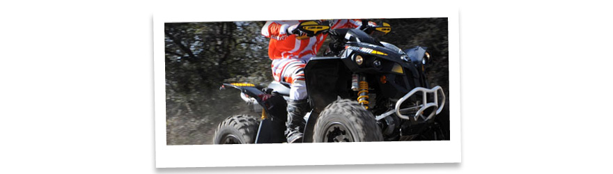 Can-Am Renegade 800R EFI X