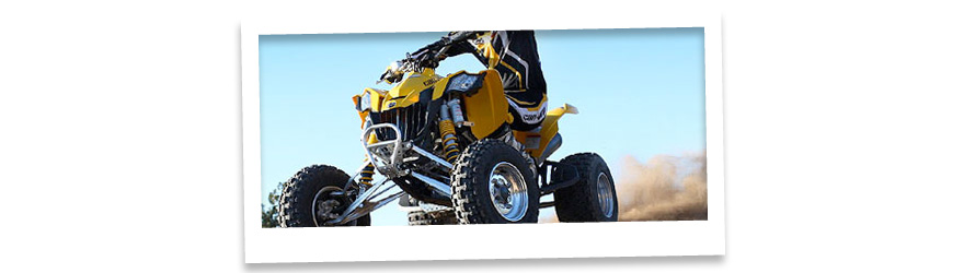 Can-Am DS 450