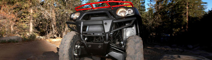 Kawasaki BRUTE FORCE™ 650 4x4