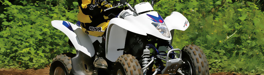 Suzuki QuadSport LT-Z250