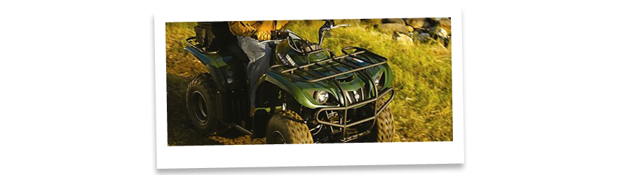 Yamaha Grizzly YFM 250