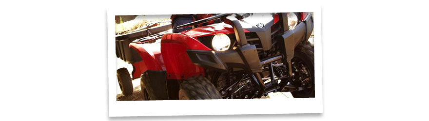 Yamaha Grizzly 300 2x4